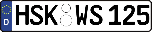 HSK-WS125