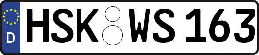 HSK-WS163