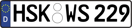 HSK-WS229