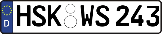 HSK-WS243
