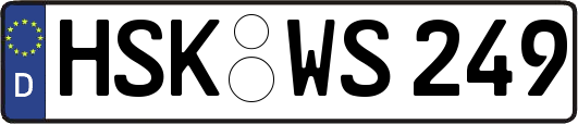 HSK-WS249