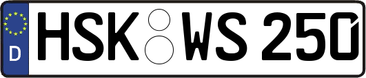 HSK-WS250