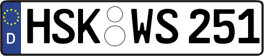 HSK-WS251