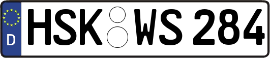 HSK-WS284
