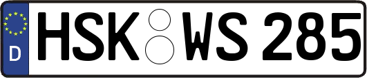 HSK-WS285