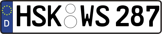 HSK-WS287