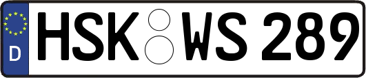 HSK-WS289