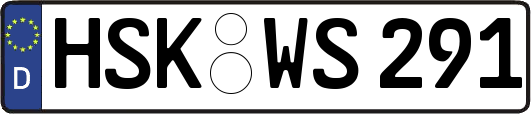 HSK-WS291