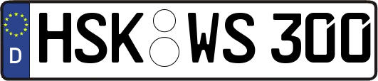 HSK-WS300