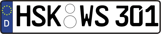 HSK-WS301
