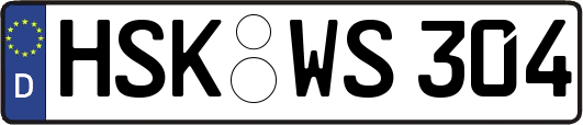 HSK-WS304