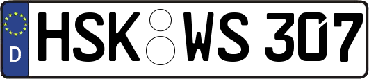 HSK-WS307
