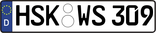 HSK-WS309