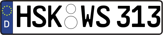 HSK-WS313