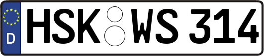 HSK-WS314