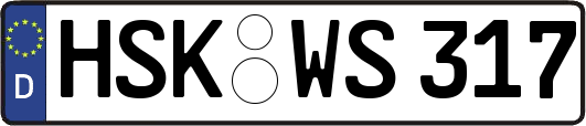 HSK-WS317