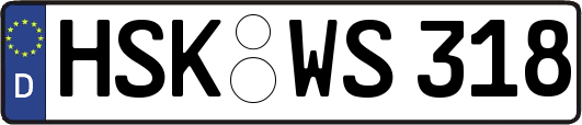 HSK-WS318