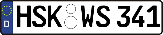 HSK-WS341