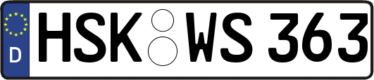 HSK-WS363