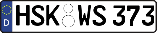 HSK-WS373