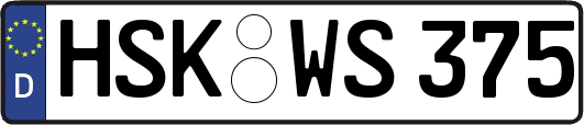 HSK-WS375