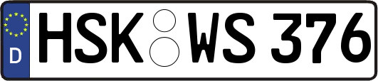 HSK-WS376