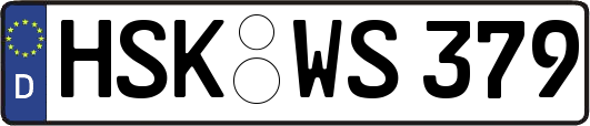 HSK-WS379