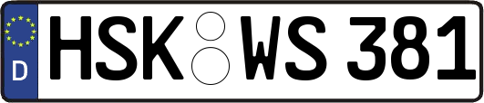 HSK-WS381
