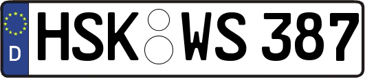 HSK-WS387