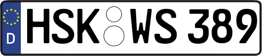 HSK-WS389