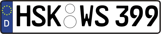 HSK-WS399