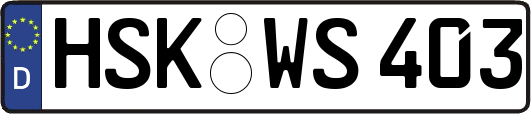 HSK-WS403
