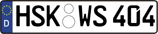 HSK-WS404