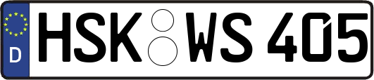 HSK-WS405