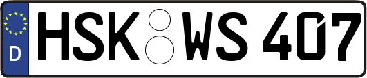 HSK-WS407