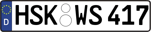 HSK-WS417