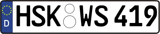 HSK-WS419