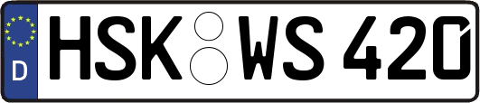 HSK-WS420