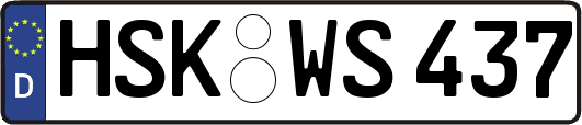 HSK-WS437
