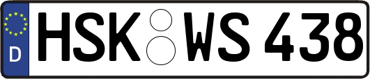 HSK-WS438