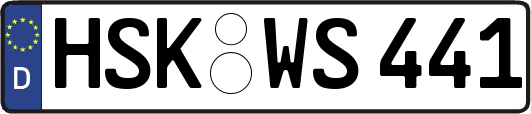 HSK-WS441