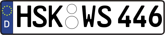 HSK-WS446