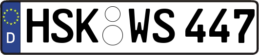HSK-WS447