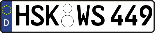 HSK-WS449