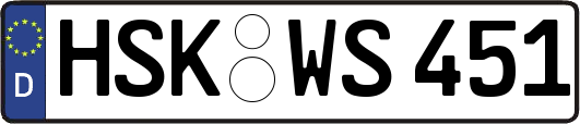 HSK-WS451