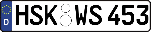 HSK-WS453