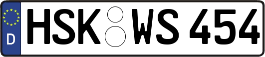 HSK-WS454