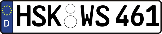 HSK-WS461