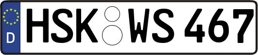 HSK-WS467