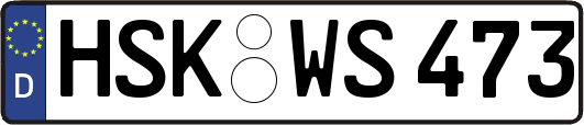 HSK-WS473